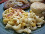 American Cant Stop Eating It Scrumptious Macaroni and Cheese Dinner