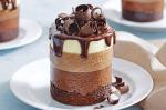 Australian Layered Chocolate Mousse Cakes Recipe Dessert
