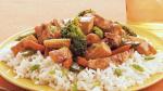American Spicy Chicken and Vegetable Stirfry Appetizer