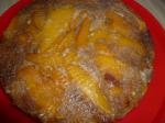 American Mango Ginger Upsidedown Cake Dessert