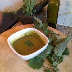 American Spring Nettle Soup Appetizer