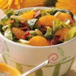 Indian Tossed Salad with Oranges Appetizer