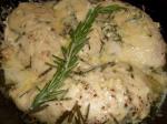 American Rosemary Parmesan Crusted Chicken Appetizer