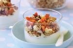 American Yoghurt Crunch Recipe Dessert