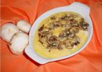 American Broiled Polenta With Mushrooms and Cheese Dinner