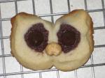 Hoot Owl Cookies 1 recipe