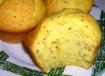 American Lemon Poppy Seed Muffins 17 Appetizer