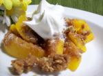 Dutch Peach Crumble 7 Dessert