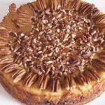Australian Pumpkin Cheesecake Ii Recipe Dessert