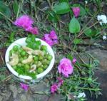 American Balsamic Cashew Pea Salad Appetizer
