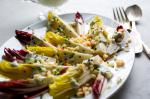 American Endive Salad With Blue Cheese Dressing Recipe Appetizer
