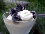 American Lavender and Vanilla Ice Cream Dessert