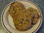 American Oatmeal Raisin Cookies 31 Dessert