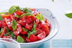 American Roma Tomato And Basil Salad Recipe Appetizer