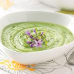 American Spring Pea Soup Appetizer