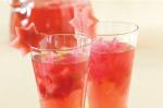 American Cranberry Vodka Punch Recipe Dessert