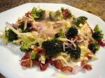 American Marvelous Broccoli Salad Appetizer