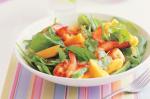 Chilli Lime Prawn And Mango Salad Recipe recipe