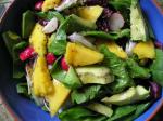 American Spinach Avocado  Mango Salad Appetizer