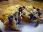 Belgian Blueberry Muffins 110 Dessert