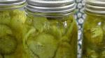 Australian Debs Bread and Butter Pickles Recipe Appetizer