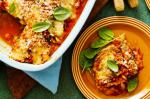 Australian Eggplant Parmigiana Recipe 15 Appetizer