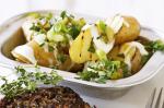 Australian Barbecued Potato Salad Recipe Appetizer