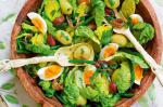 French Classic Nicoise Salad Recipe Dinner