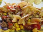 American Ground Beef One Pot Meal Appetizer