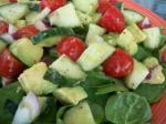American Atkins Cucumberavocado Salad With Cumin Dressing Appetizer