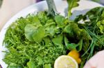 Italian Green Salad With Herbs Recipe Appetizer