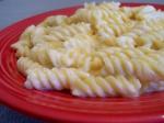 American Garlic Cheese Noodles Dinner