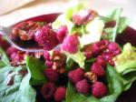 American Mixed Green Salad With Raspberry Vinaigrette 2 Dessert