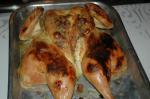 Canadian Brined Roasted Chicken   Degrees Appetizer