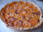 French French Style Apricot Tart Dessert
