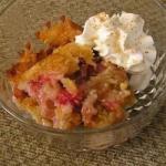 American Rhubarb Pudding Recipe Dessert
