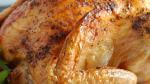 American Spicy Rapid Roast Chicken Recipe BBQ Grill