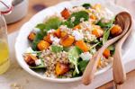 Barley And Honey Roast Pumpkin Salad Recipe recipe