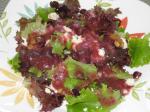 American Baby Greens Salad With Cranberry Balsamic Vinaigrette Dinner