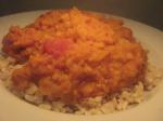 American Dhall lentil  Tomato Curry Appetizer