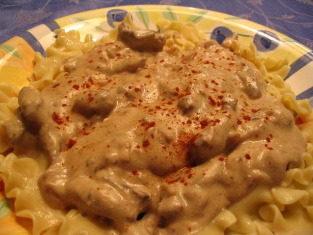 American Easy Beef Stroganoff 11 Dinner