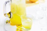 American Homemade Lemonade Recipe 4 Dessert
