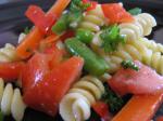 American Summertime Garden Veggie Pasta Salad Appetizer