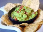 Mexican The Best Guacamole 6 Appetizer