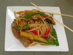 American Easy Beef Noodle Stirfry Appetizer