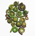 Thai Stirfried Fiddlehead Ferns Recipe Appetizer