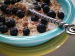 American Protein Oatmeal With Blueberries Dessert