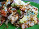 Australian Bbqd Pork Nachos Appetizer