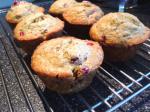 American Cranberryorange Muffins  Diabetic Friendly Dessert