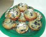 American Blueberry Hill Muffins 1 Dessert